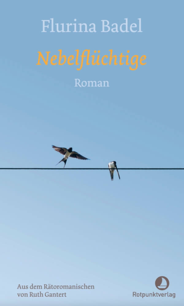 Buchcover Nebelflüchtige